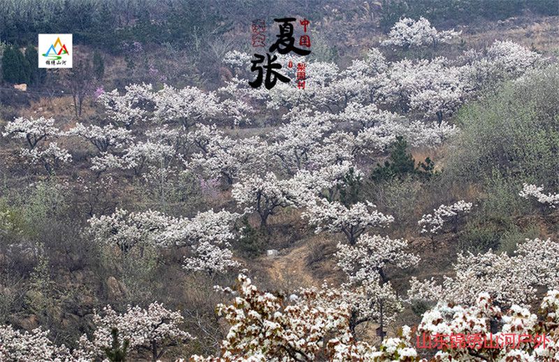 微信圖片_20210321133711_副本.jpg